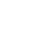 CUSTOM